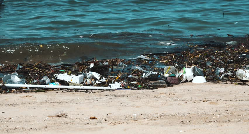 Черное море превращается в «мутную кашу»