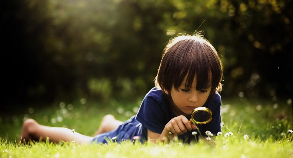 Какая черта личности определяет успех человека