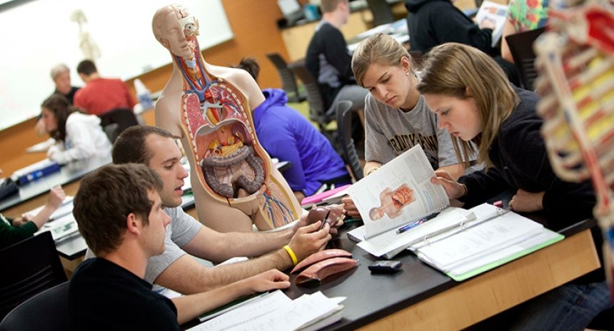 Евгений Ямбург объяснил необходимость уроков полового воспитания в школах