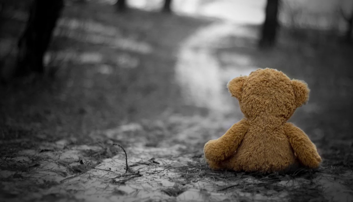 Виталий Милонов: «Воспитательная функция школы на сегодняшний день утрачена»