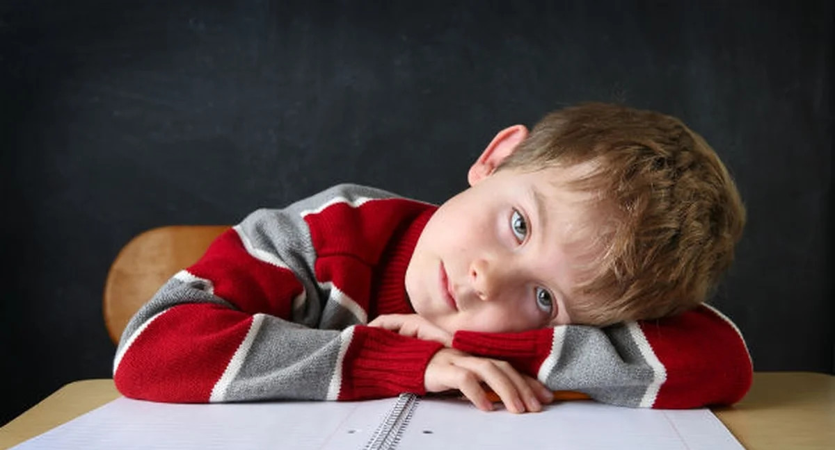 Жители Пензы просят перевести все школы на пятидневку