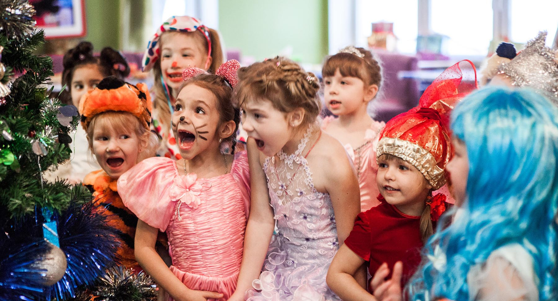 Утренники в петербургских школах под угрозой из-за очередных писем минёров. В детсадах ёлки уже начали переносить