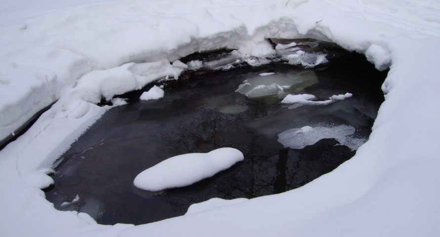 Двое детей провалились под лед и погибли в Подольске