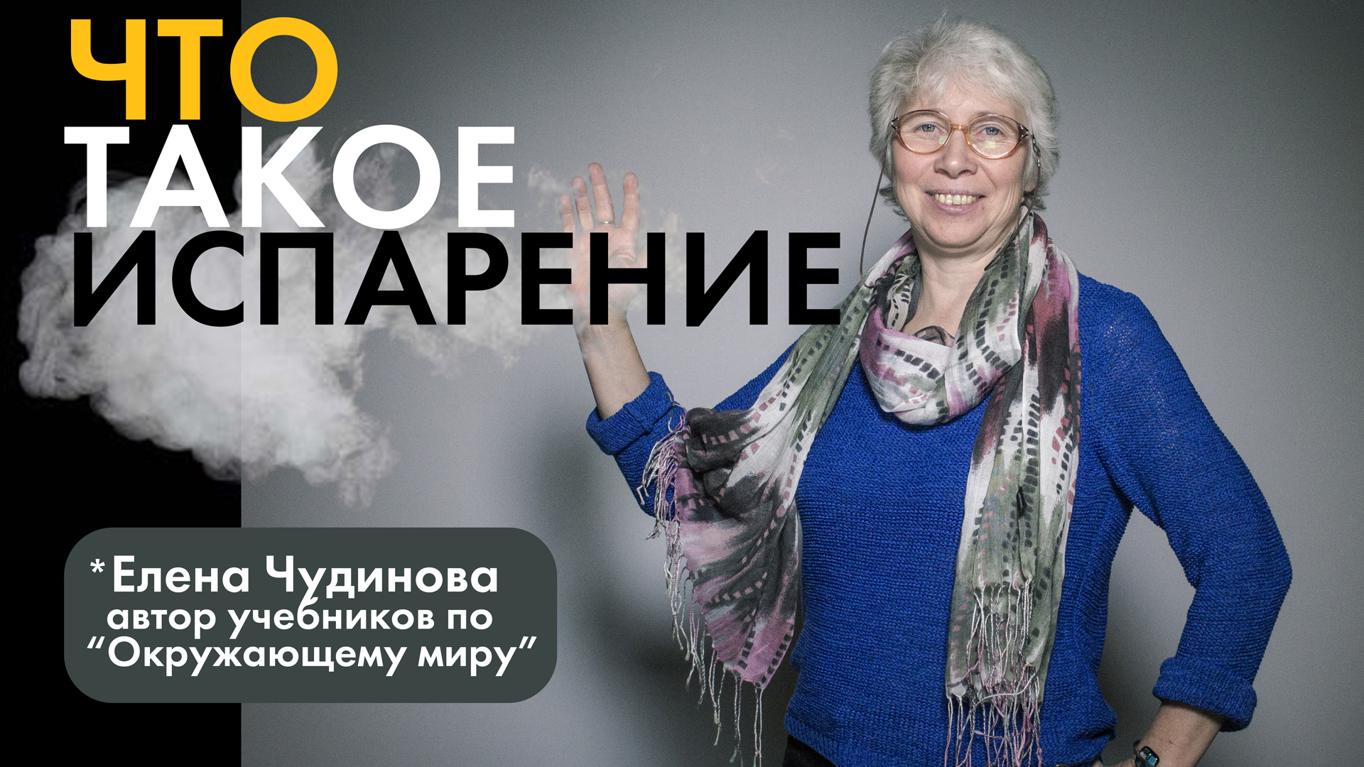 Елена Чудинова: Что такое испарение