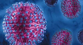 Без паники! В Москве создан оперативный штаб