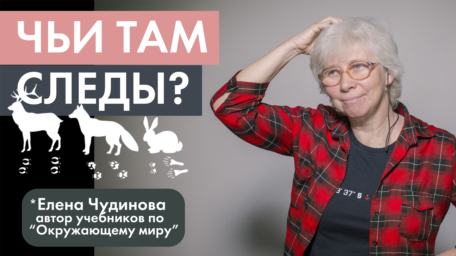 Елена Чудинова: Как распознать следы животных 
