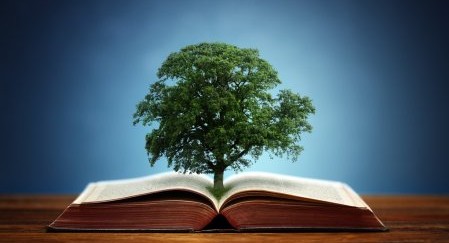 Психологические рекомендации о поведении и деятельности человека в экстремальной ситуации пандемии (COVID-19)