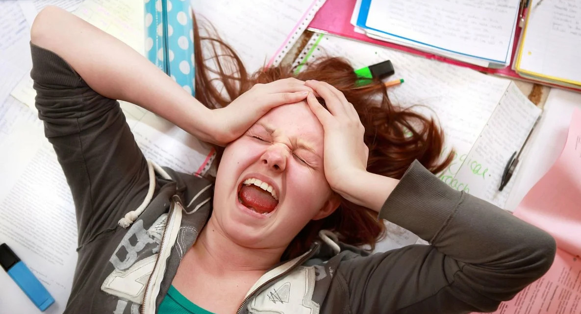 Проблемы дистанционного обучения: сайты падают, компьютеров не хватает и вообще ничего не понятно