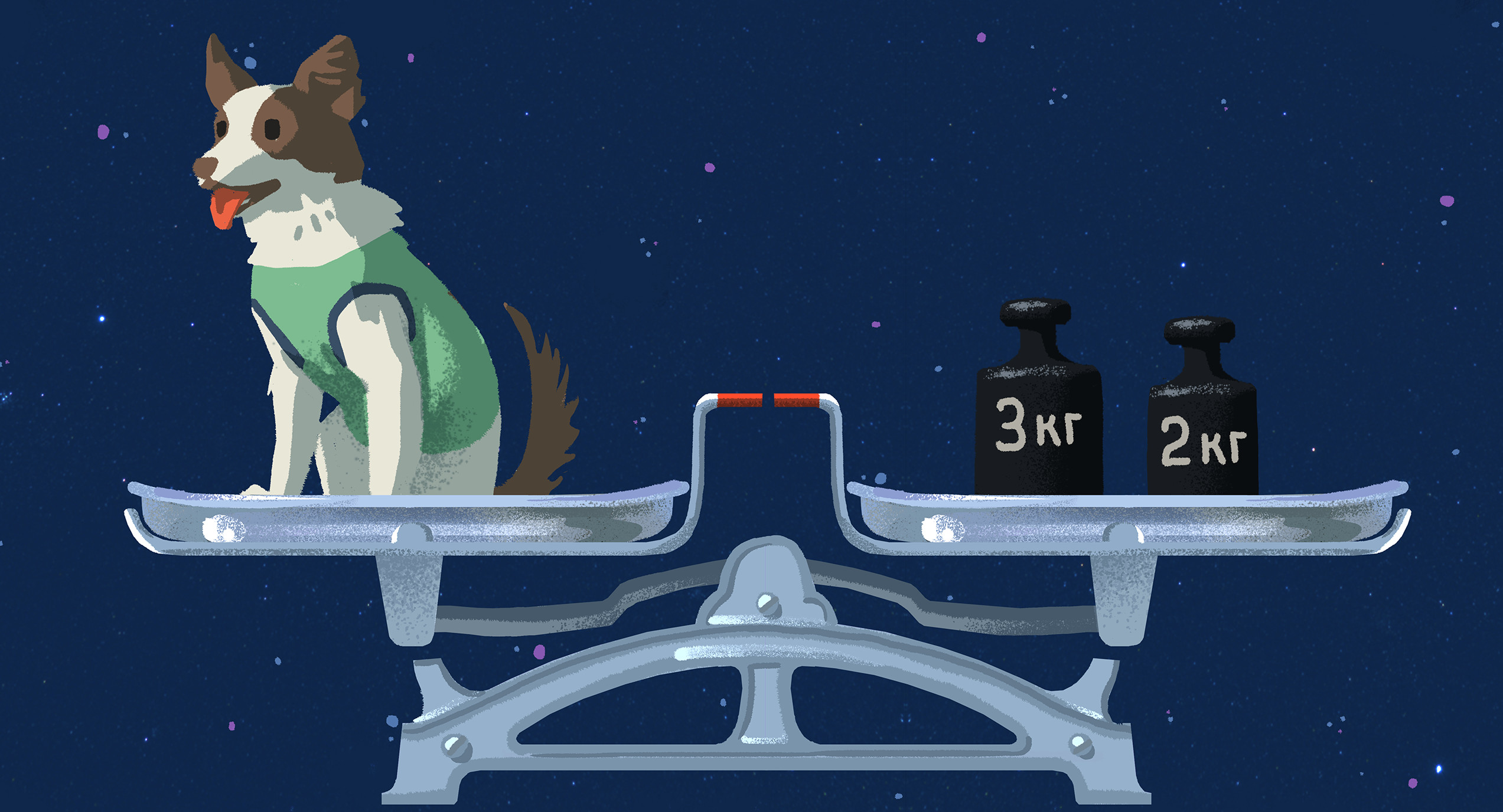 Яндекс.Учебник и московский Музей космонавтики разработали 150 «космических» задач к 12 апреля