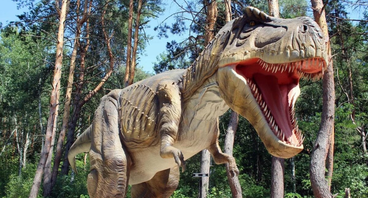 «Сплошная реклама»: маму школьника возмутили задачи о динопарке в контрольной сына