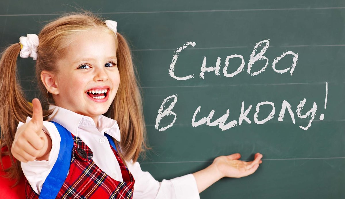 Сергей Кравцов: Уже ведется подготовка к началу следующего учебного года