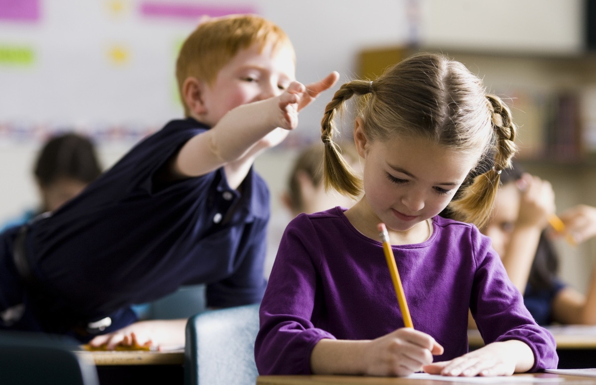 Сергей Кравцов: Реальная воспитательная работа с учениками в школах не проводится