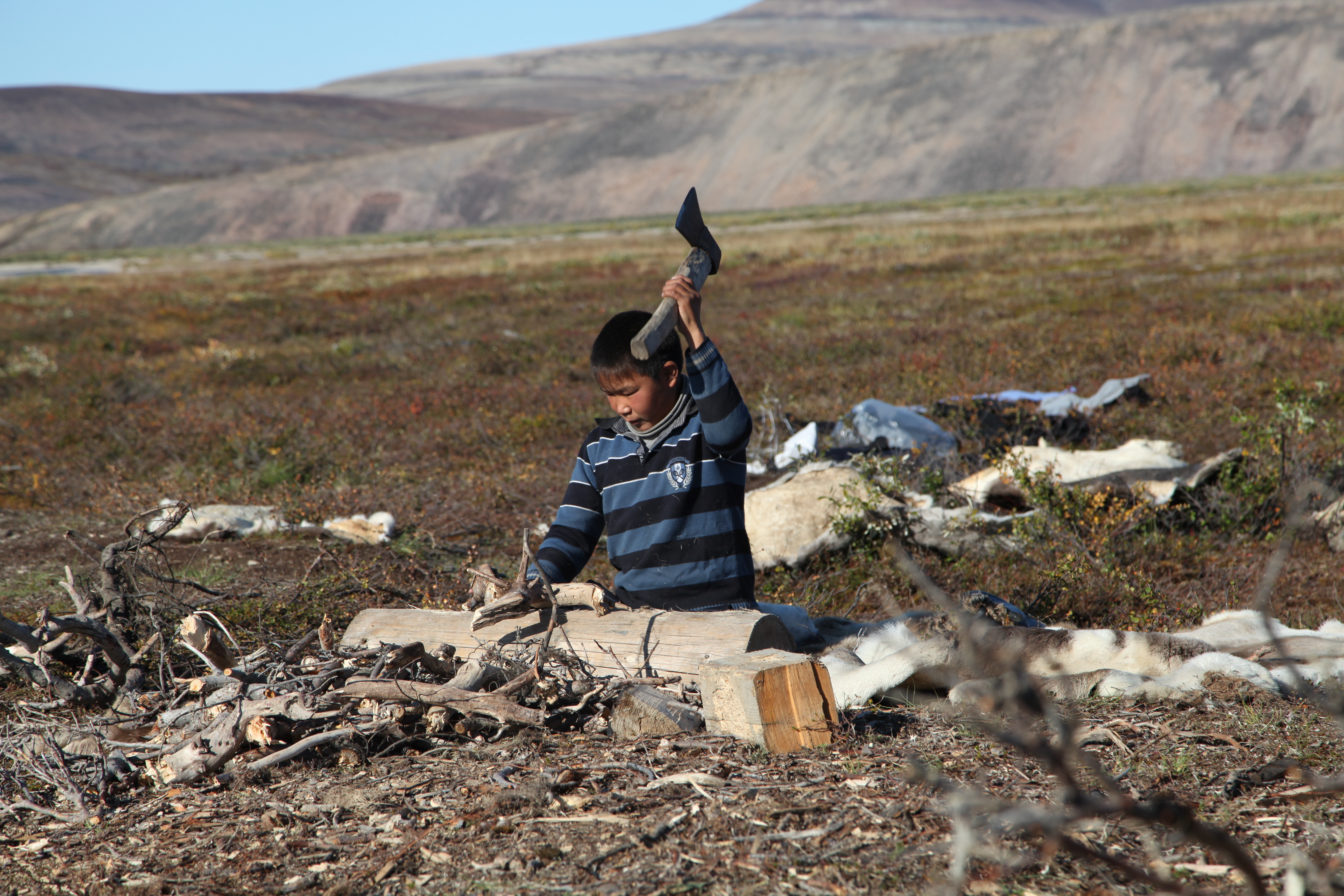 На Чукотке почти половина выпускников отказалась от ЕГЭ