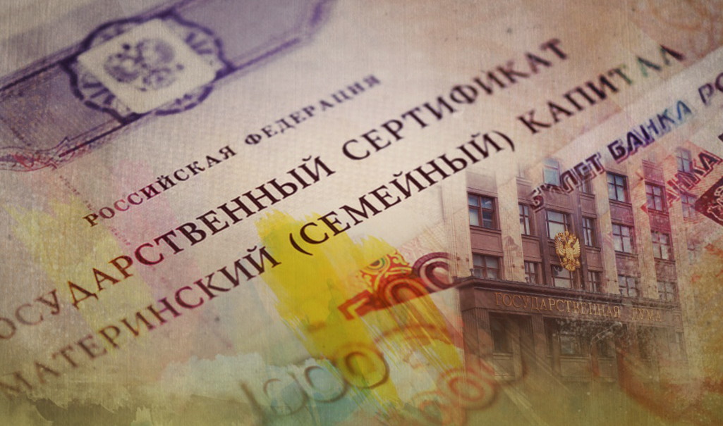 В Госдуме предложили использовать маткапитал на обеспечение дистанционного обучения ребенка