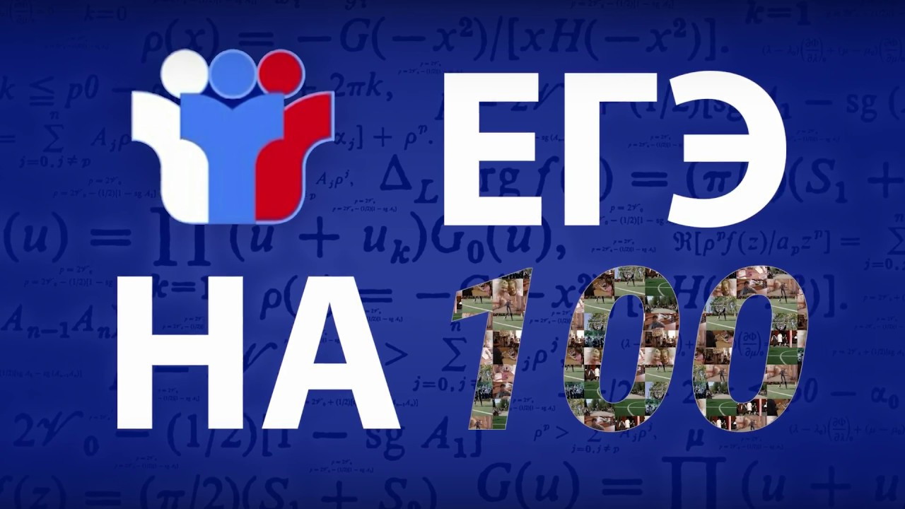 Более 230 выпускников Подмосковья набрали 100 баллов на ЕГЭ по разным предметам