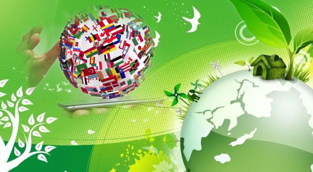 20 июля выпускники сдают ЕГЭ по биологии и иностранным языкам