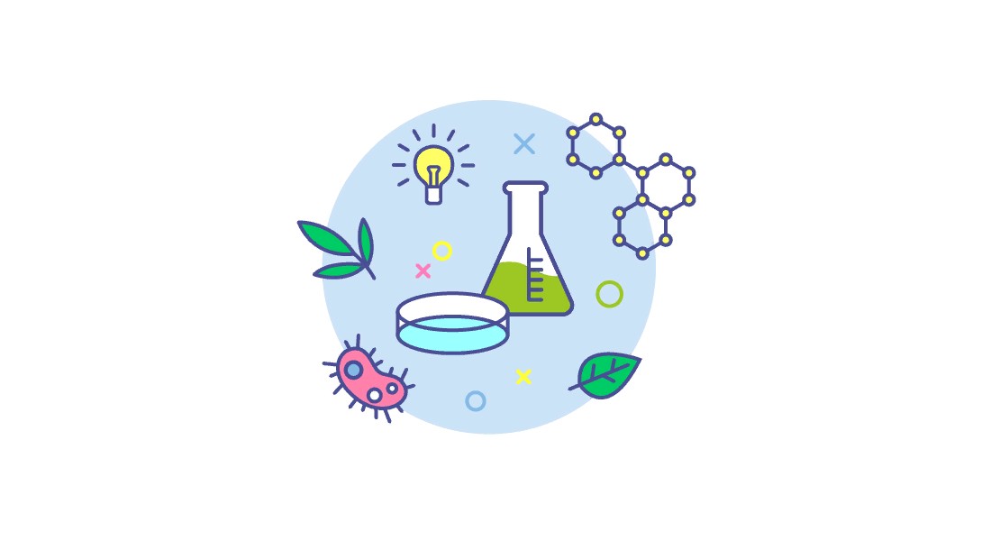 ​«Я дала себе право на 5 ошибок». Учитель химии сдала ЕГЭ на 100 баллов