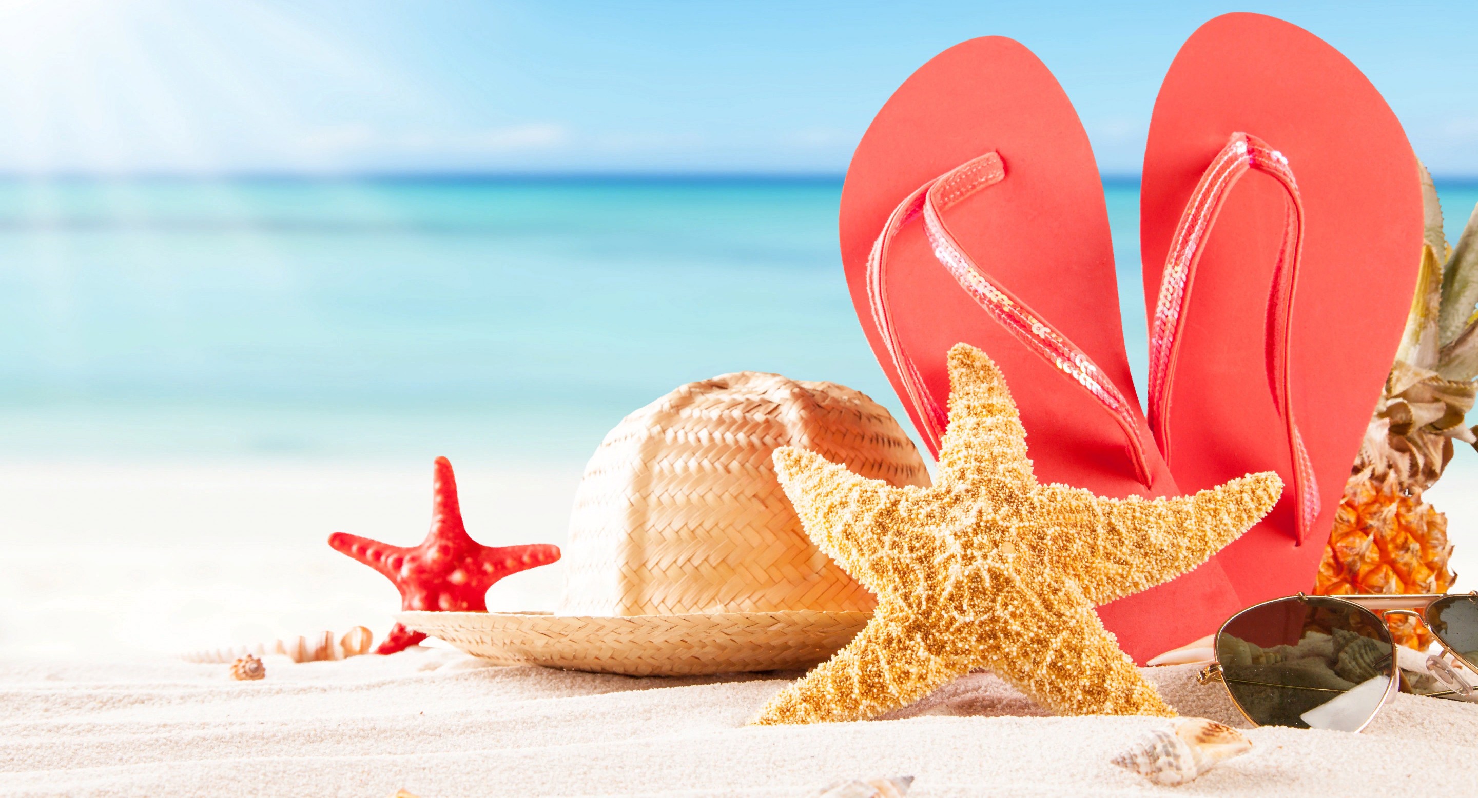 ​Учителя отреагировали на новость об открытии границ с Турцией