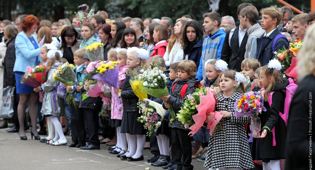 Выплата 10 тысяч рублей от ПФР: деньги могут дать к концу августа