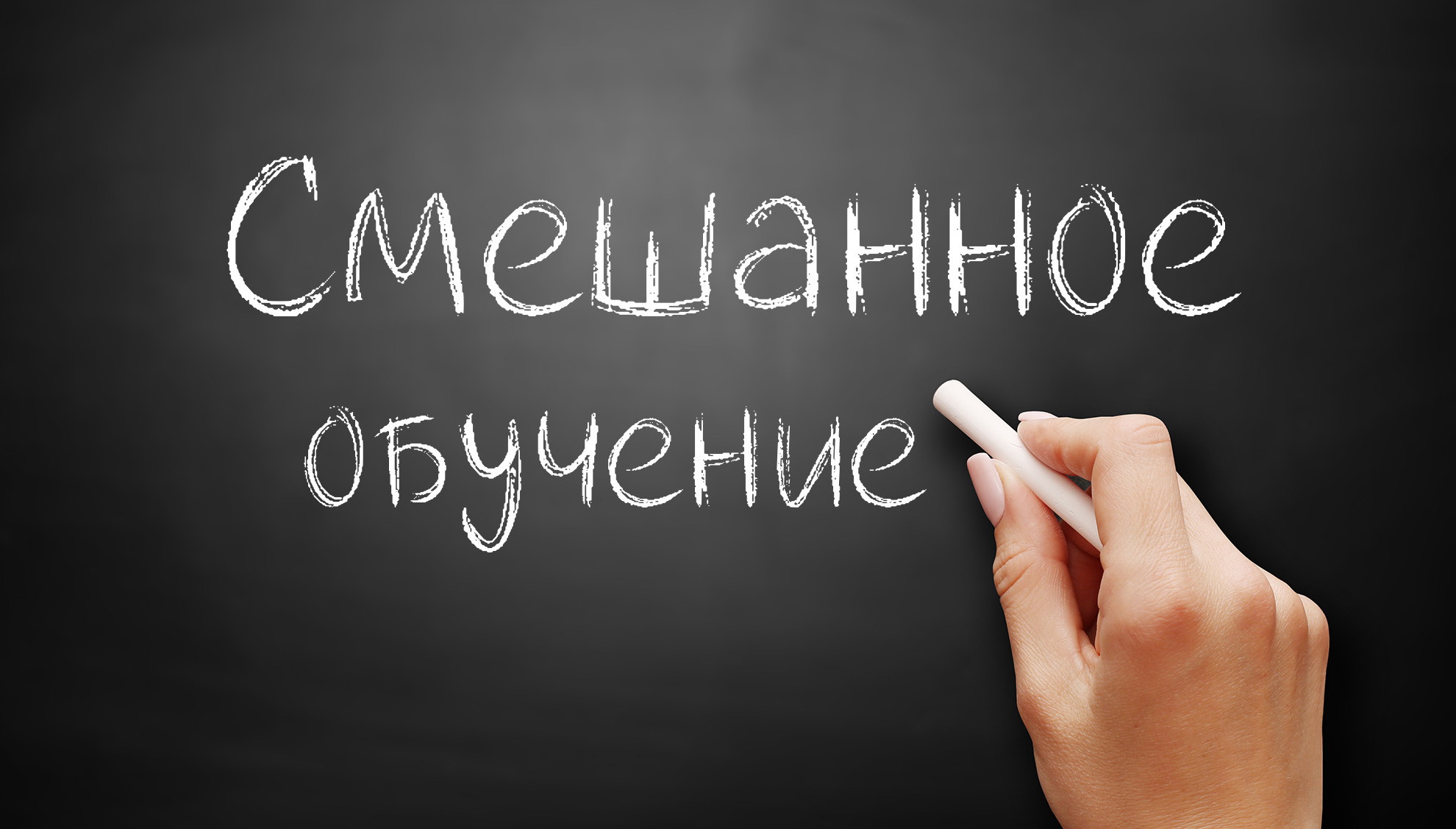 Образовательные учреждения Алтая готовятся к смешанному формату обучения