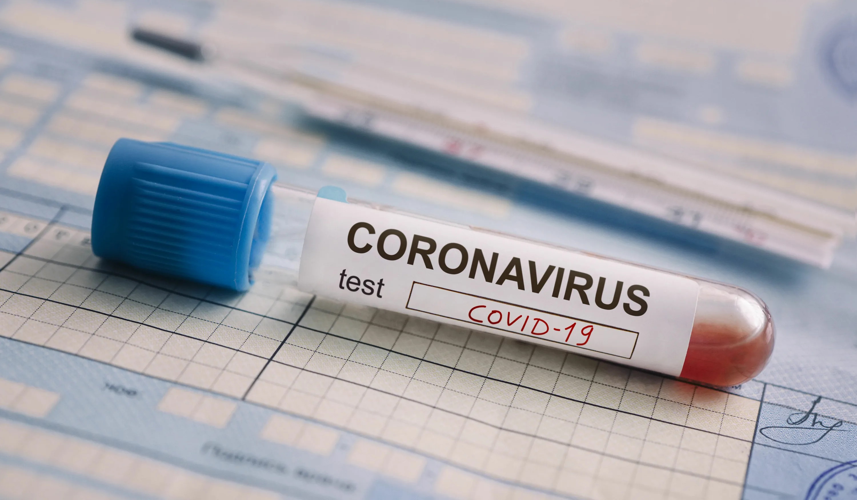 Как педагогам сдать тест на коронавирус и где узнать результат