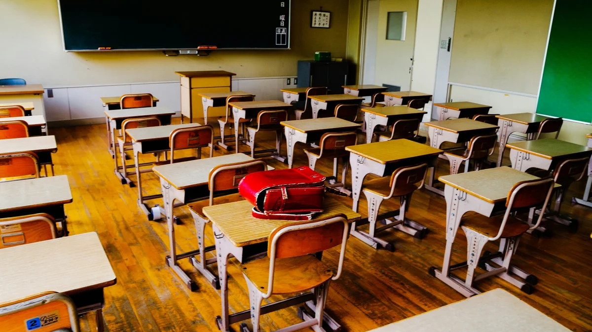 Во всем мире пытаются решить, как лучше всего вернуть школьников в классы