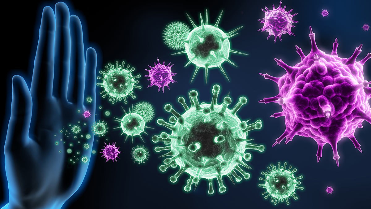 В школах Москвы могут начать проводить регулярные уроки по профилактике коронавируса