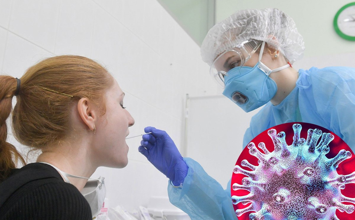 От школьников и педагогов не будут требовать сдавать тесты на коронавирус