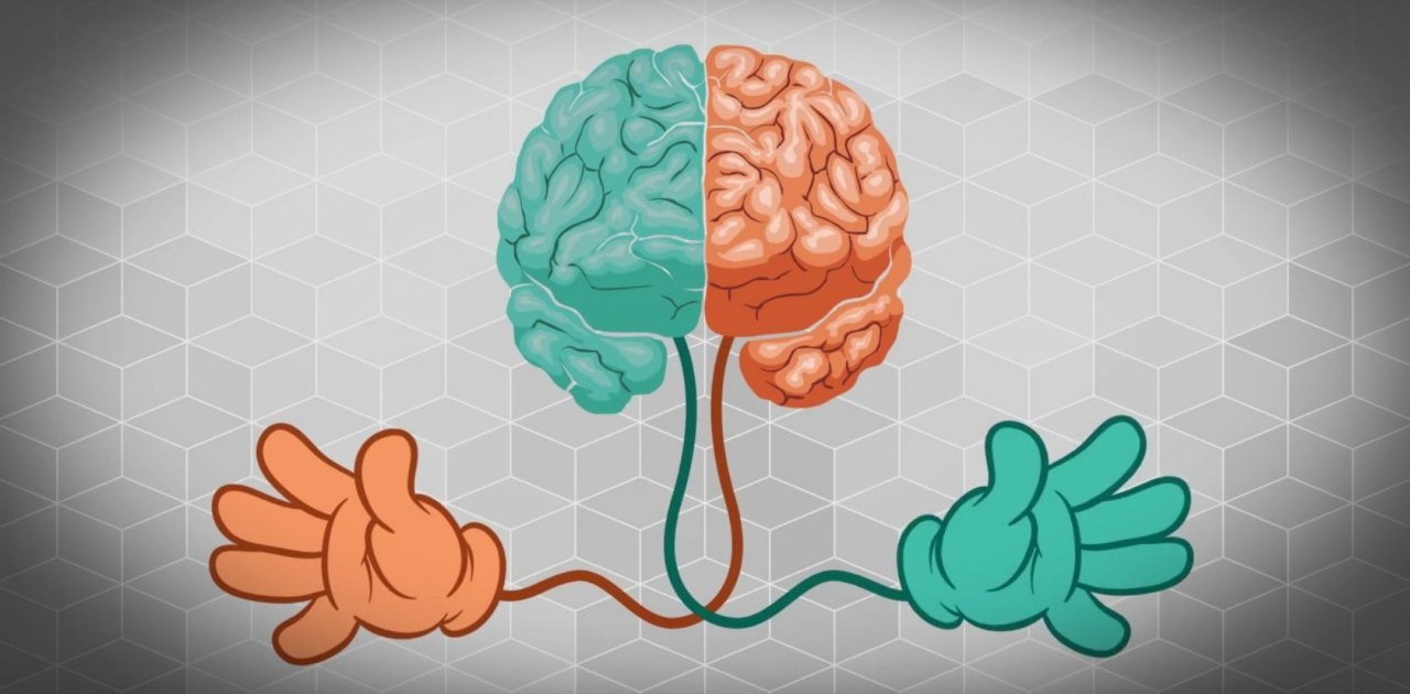 Маленькие дети используют оба полушария для понимания речи