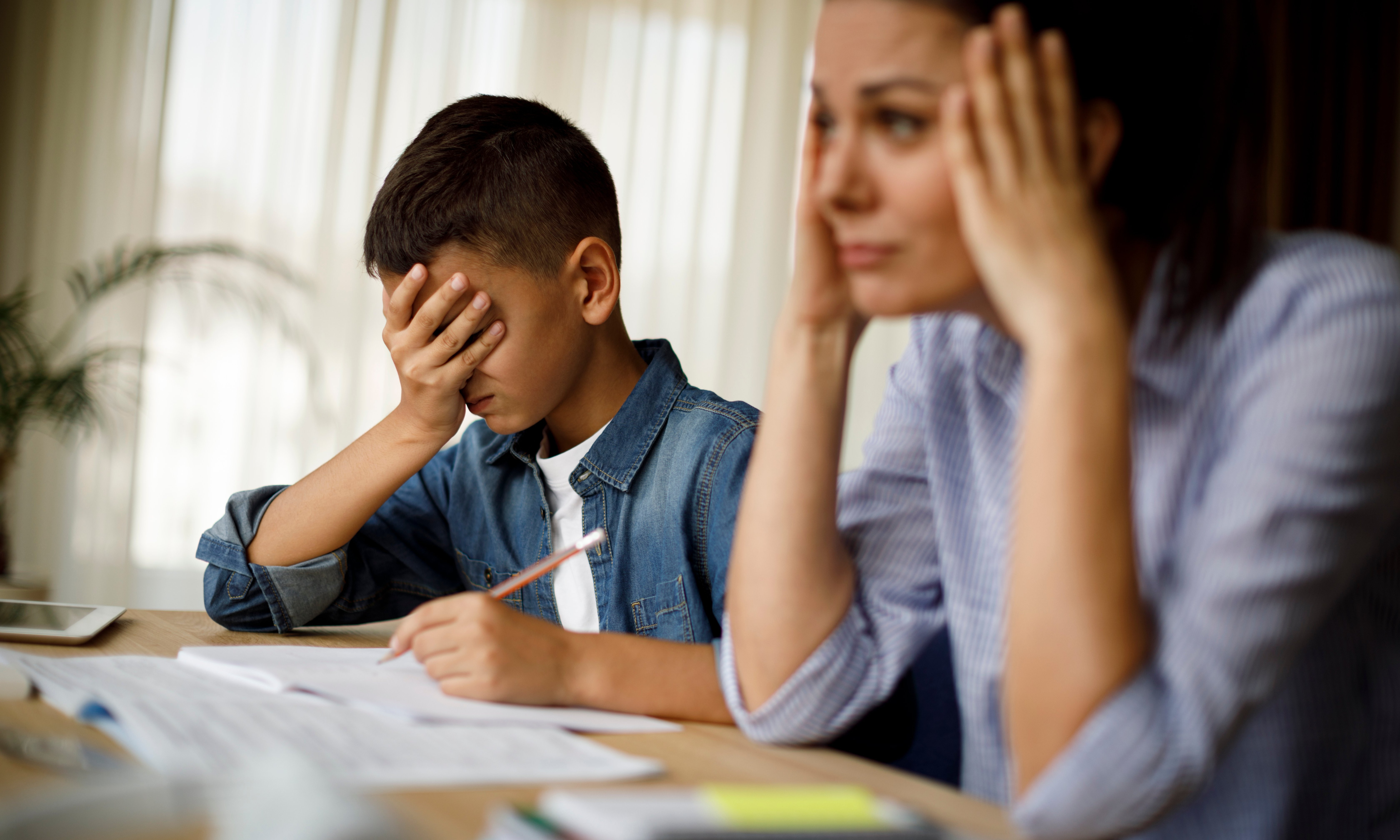 Как решить конфликт с учителем и в каком случае менять школу