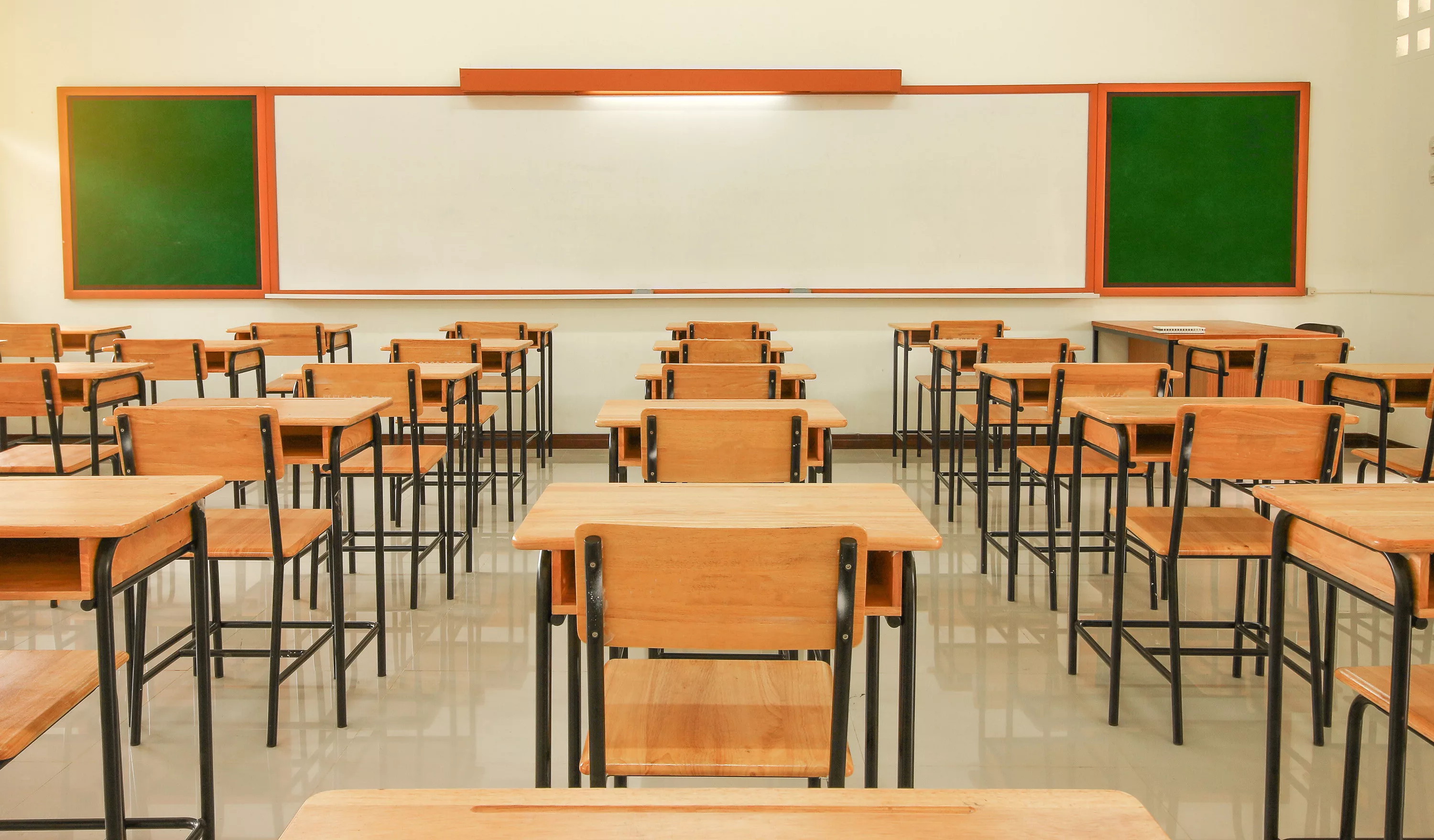 В городах Грузии перенесли учебный год на 1 октября