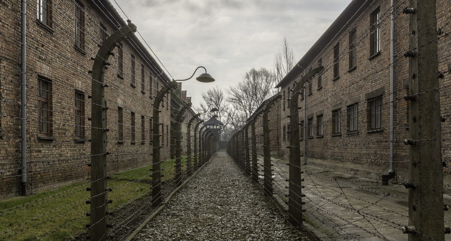 Опрос: 11% молодых американцев винят в холокосте евреев