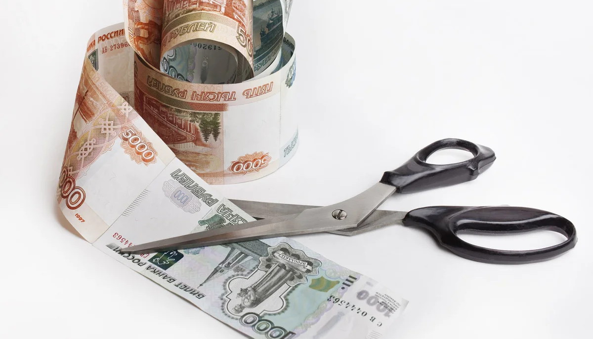 В России решили тратить меньше денег на образование и демографию