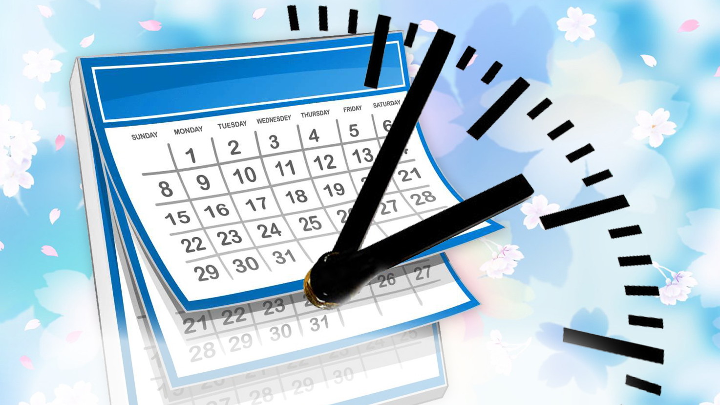 Как будут работать школы и сады Подмосковья с 5 октября