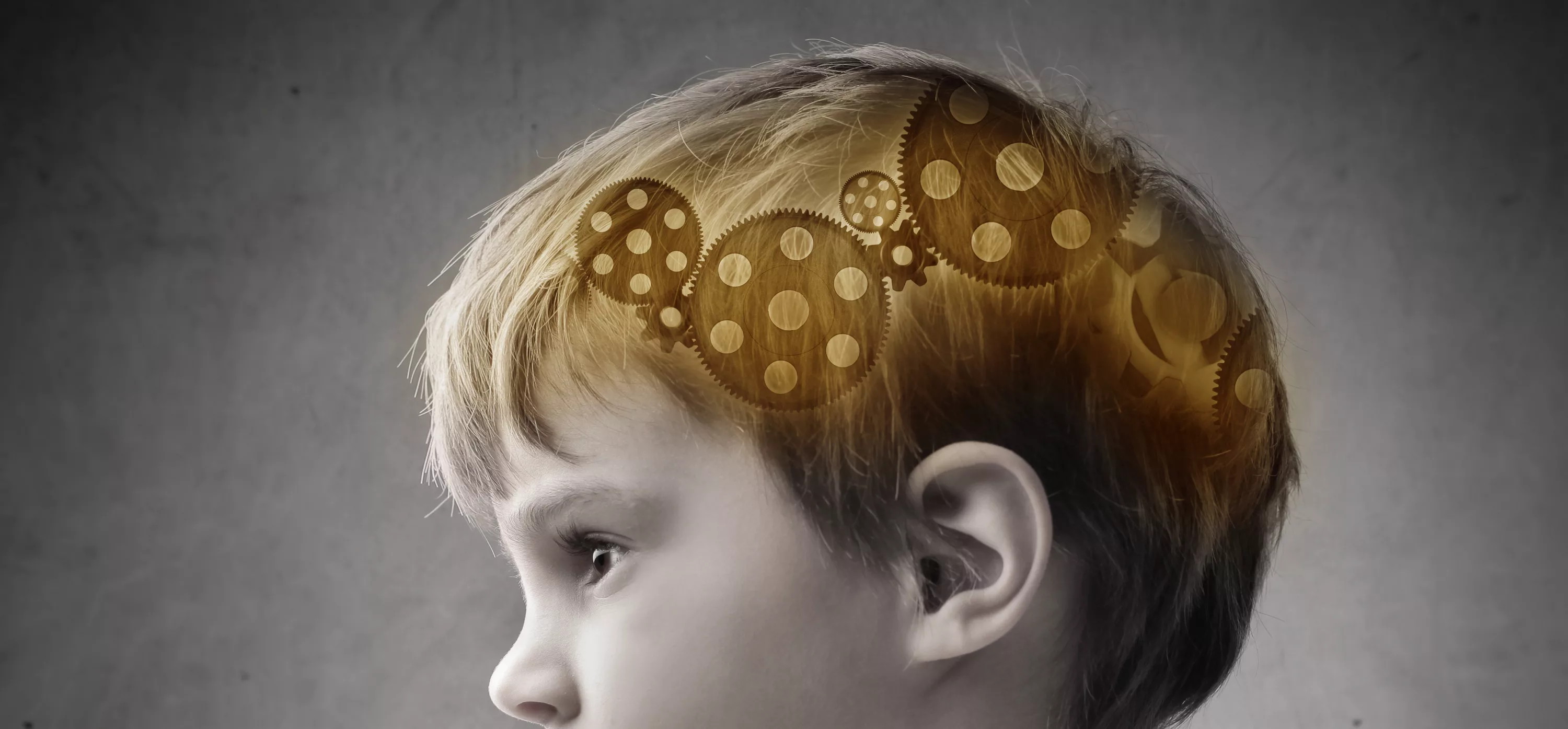 Почему полилингвальное образование – это не курсы иностранного языка