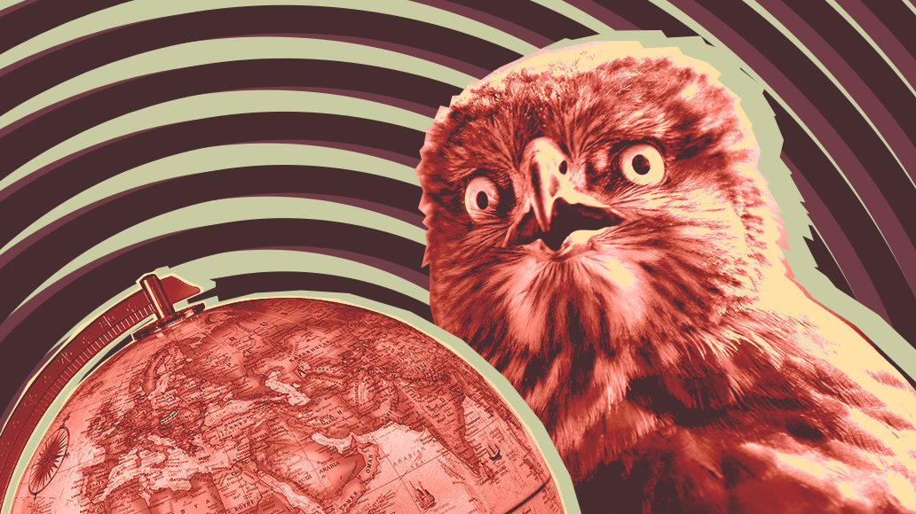 «Запихивать старые методики в новую форму – это сову на глобус натягивать»