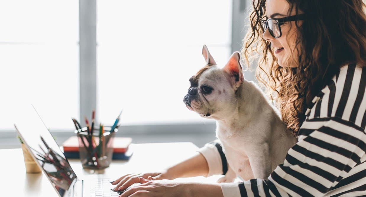 Тёплый плед, подушка, мягкая игрушка: может ли онлайн-урок быть душевным