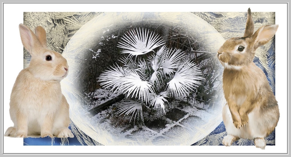 Заснеженные пальмы и подопытные кролики системы отечественного образования