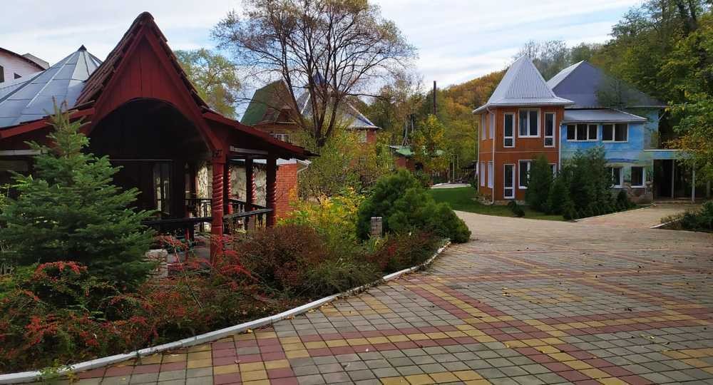 ​Министерство просвещения освободило Яна Селезнева от исполнения обязанностей директора Лицея Щетинина