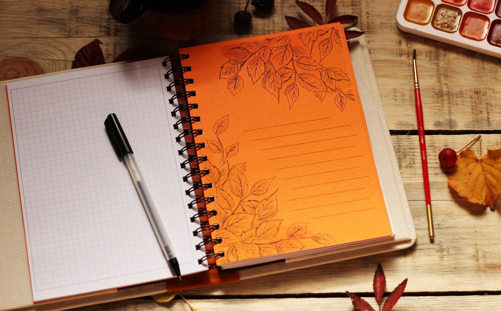 У российских школьников появятся «правильные тетрадки»