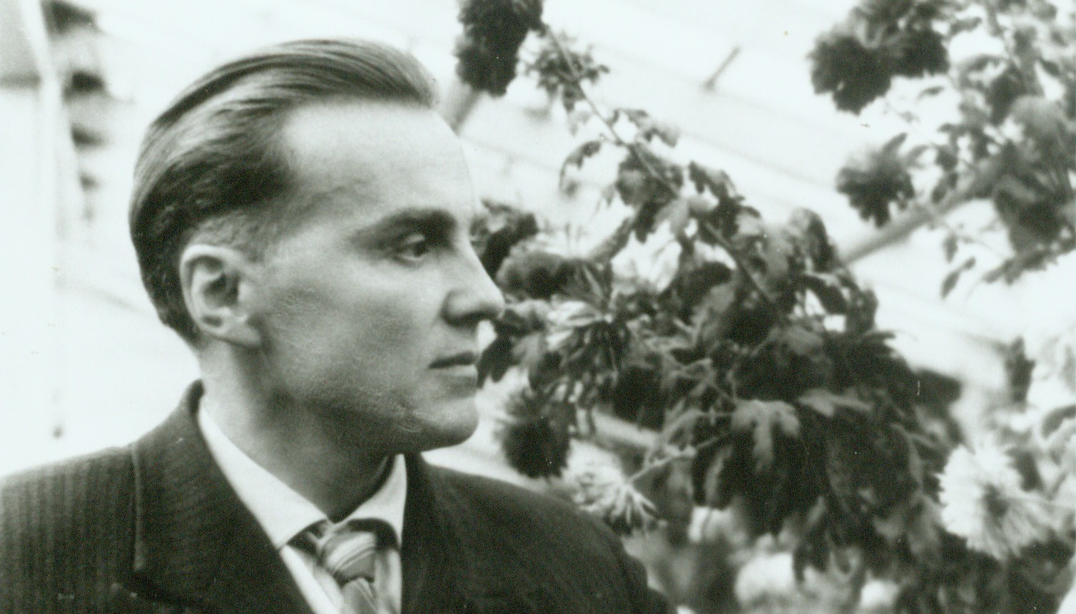 Каким я увидела Василия Сухомлинского