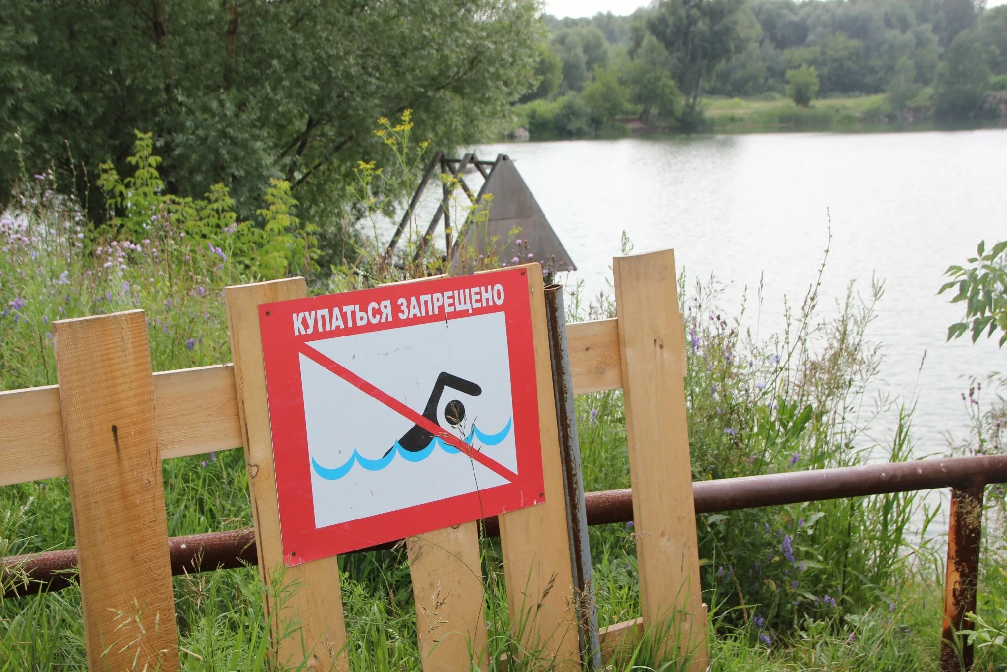 Брянских родителей, которые не следят за детьми у водных объектов, ждут штрафы