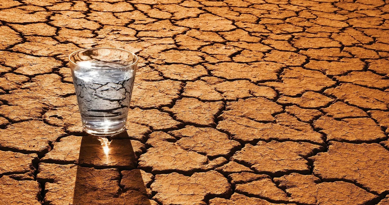 2021 год вошел в пятерку самых жарких за всю историю метеонаблюдений