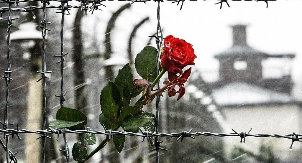 Международный День Холокоста: как СПЧ и Минпрос услышали друг друга