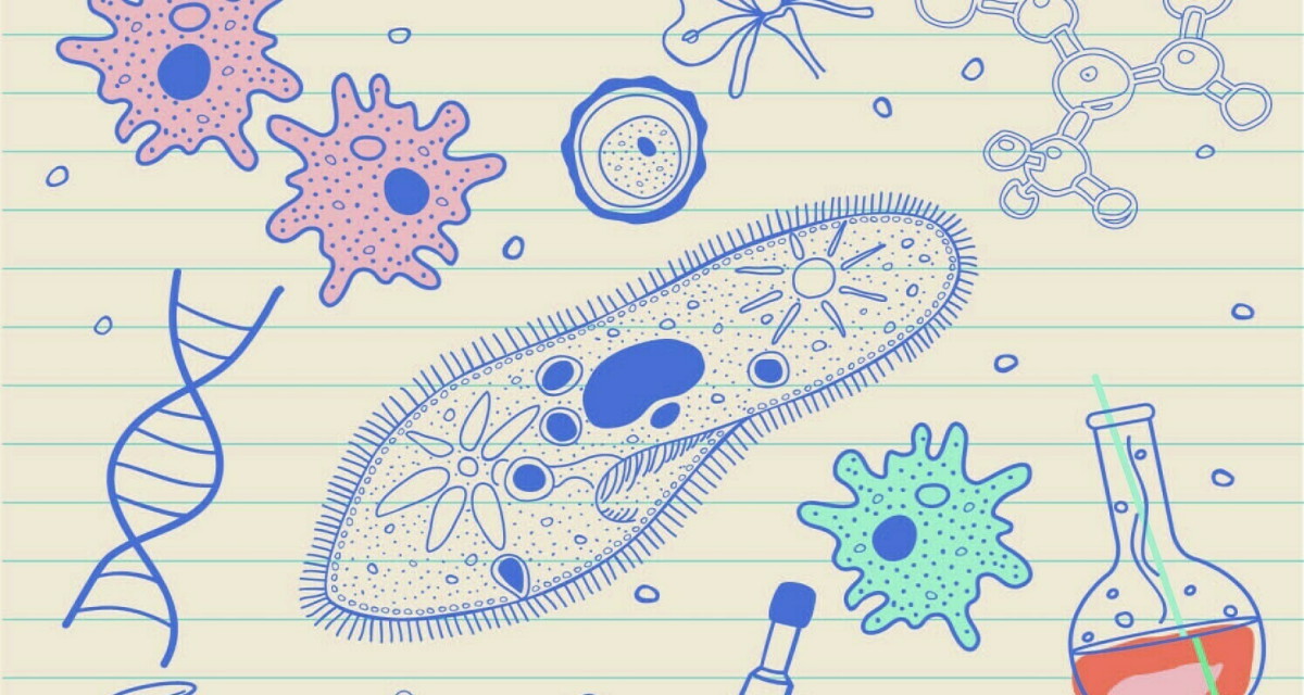 «Учить всё в режиме нон-стоп – непродуктивно»