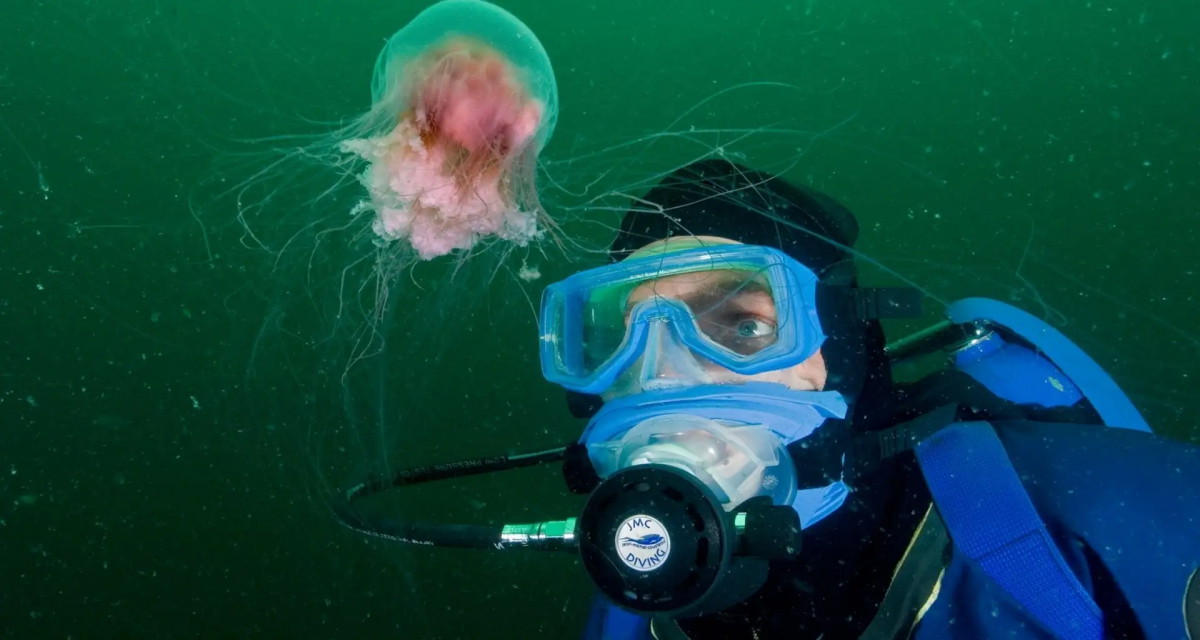 Робот ученицы школы № 2065 поможет океанологам изучить дно Мирового океана