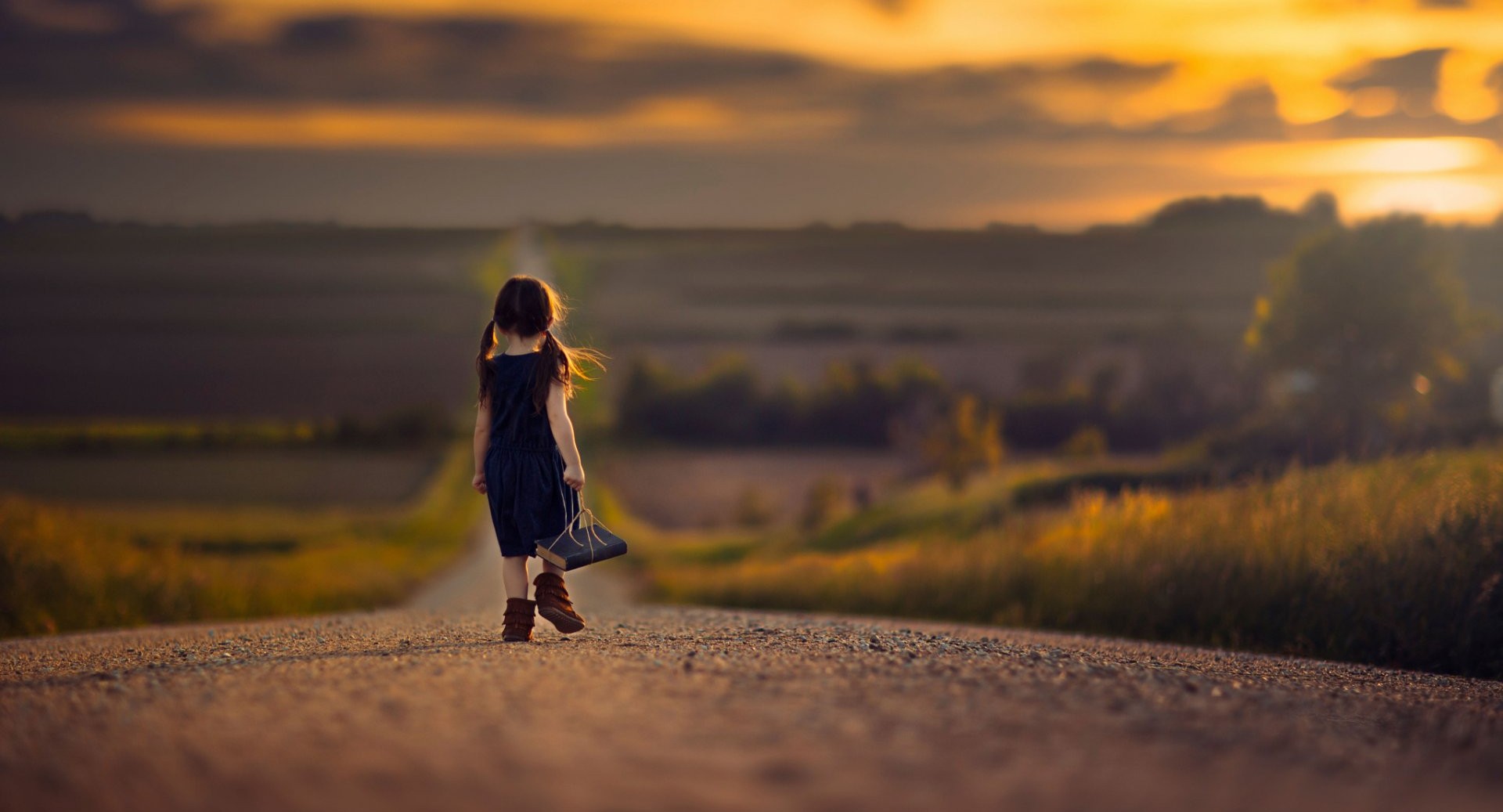 Преадаптивная норма как предчувствие