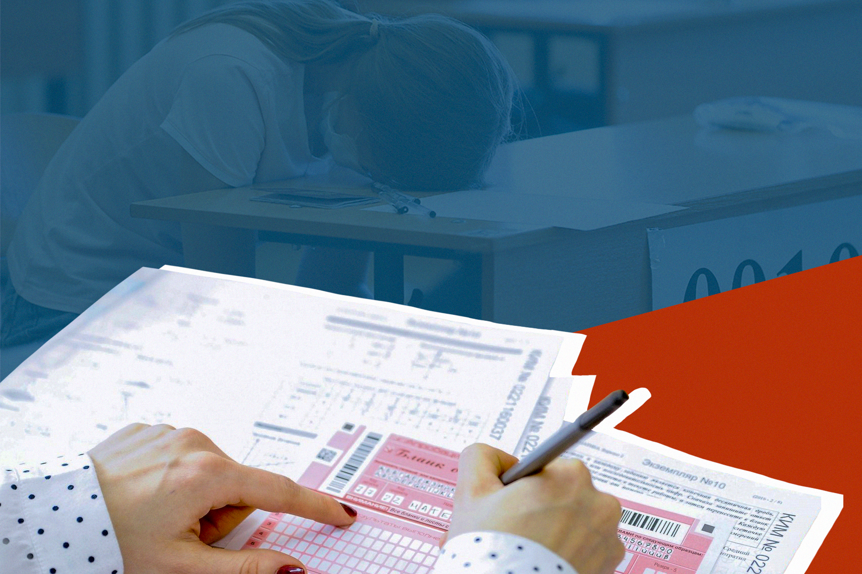 ФИПИ опубликовал открытые варианты контрольных измерительных материалов ЕГЭ 2022 года