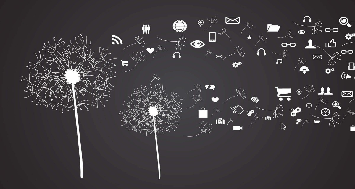 Что произошло в образовательной политике с 13 по 19 июня 2022 года