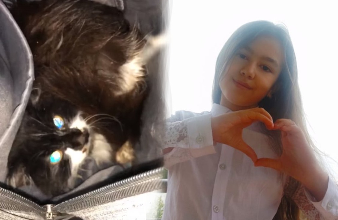 Школьница из Бурятии спустилась в яму уличного туалета, чтобы спасти бездомную кошку